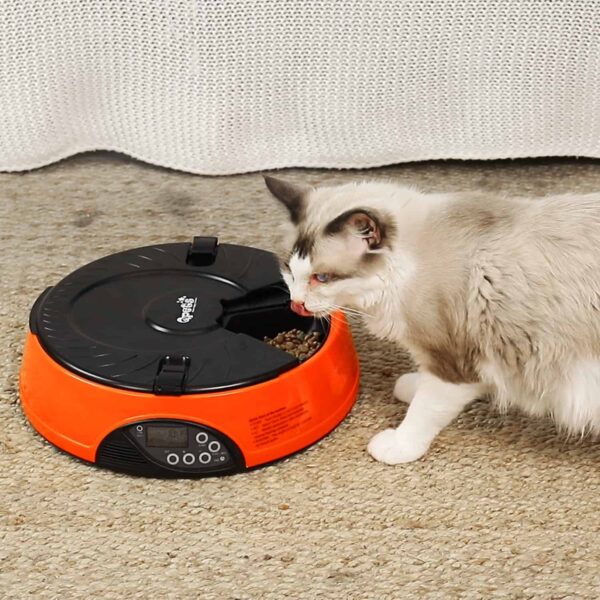 Qpets AF-108 Plus Programmable Automatic Pet Feeder - Image 4