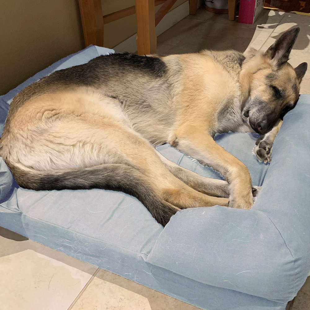 Qpets Dog Bed, Memory Foam Pet Bed, with Couch Arm, Comfortable ang Waterproof