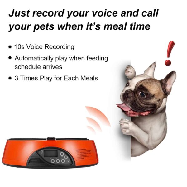 Qpets AF-108 Plus Programmable Automatic Pet Feeder - Image 12