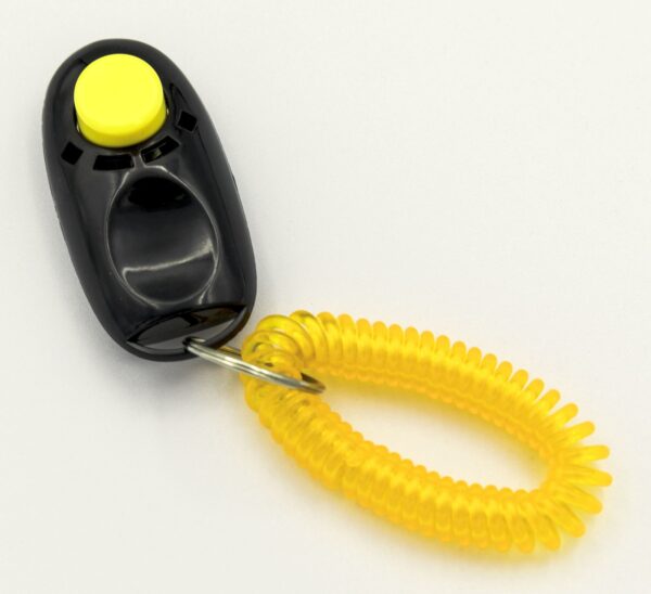 NEW Q Clicker (Deluxe 4 Pack) - Image 5