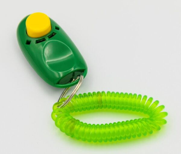 NEW Q Clicker (Deluxe 4 Pack) - Image 3