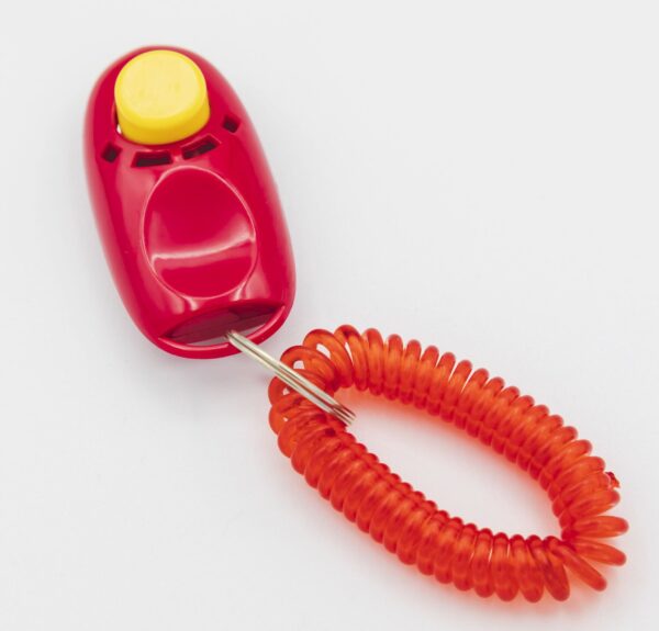 NEW Q Clicker (Deluxe 4 Pack) - Image 2